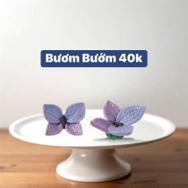 Bươm bướm