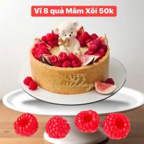 Vĩ 8 quả mâm xôi
